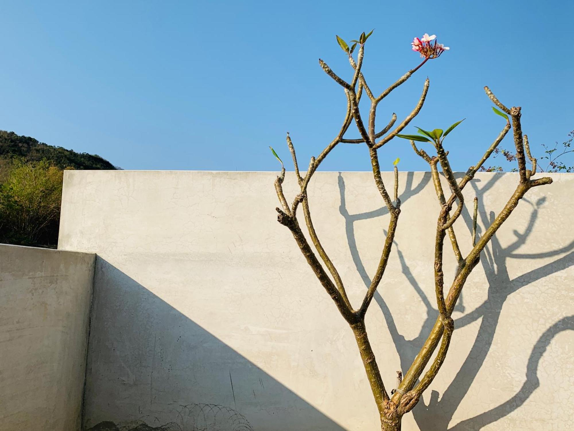 墾丁后灣仙杜瑞拉海景旅宿 Checheng Buitenkant foto